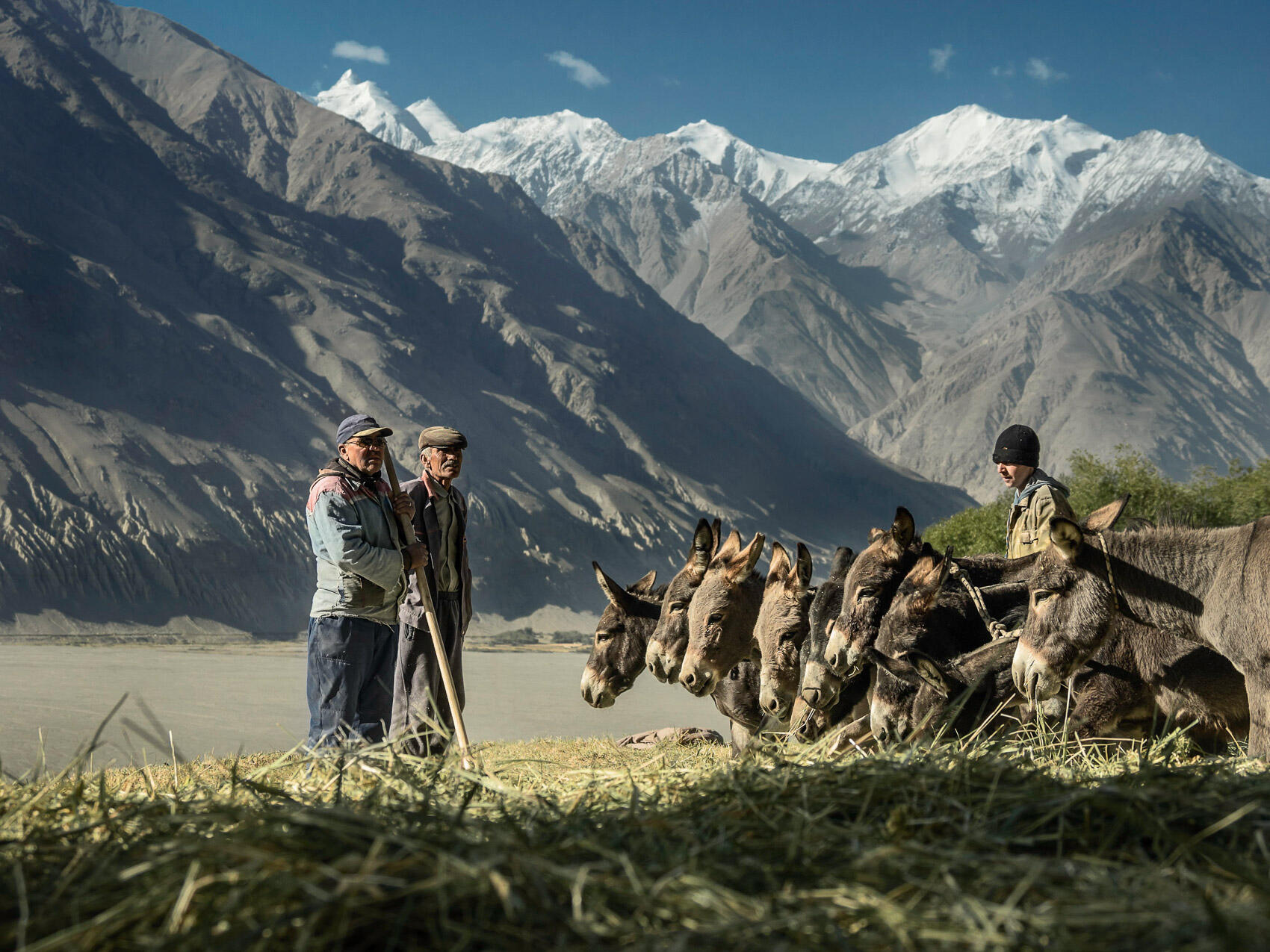frontier-discovery-project-men-donkey-mountain-harvest.jpg men and donkey thresh wheat high on a mountain side with the valley below and mountains behind